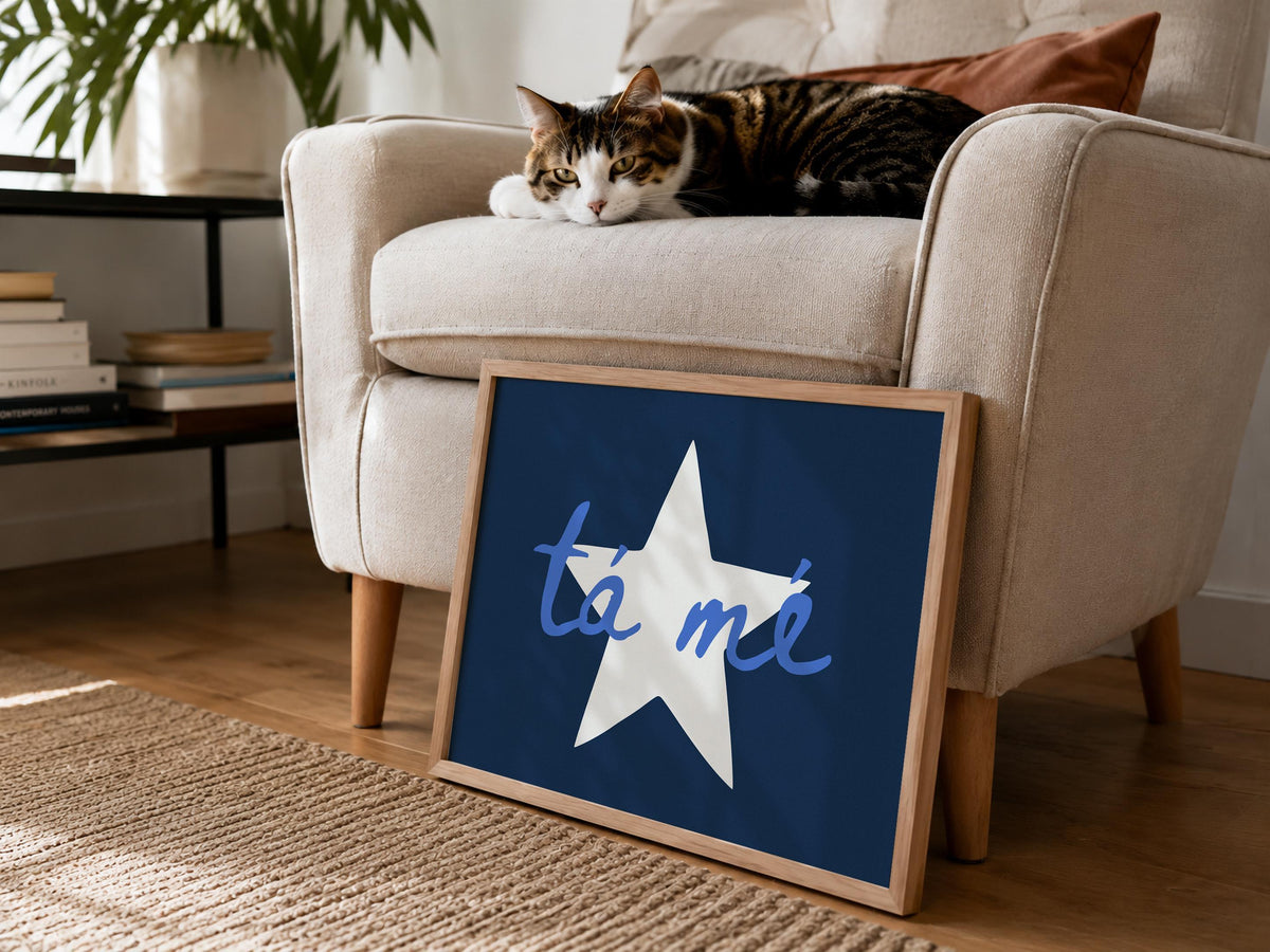 Tá Mé navy star print – mockup 6